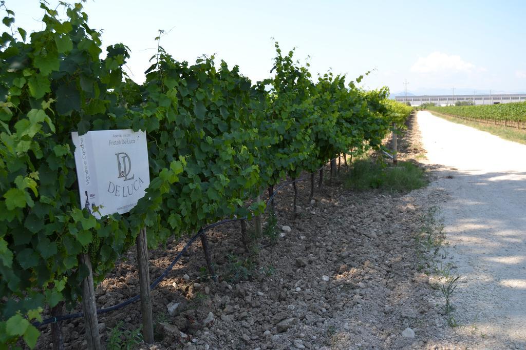 Agriturismo De Luca Mozzagrogna Kültér fotó