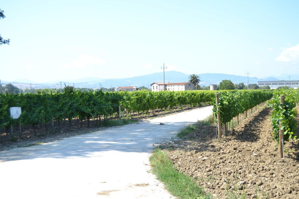 Agriturismo De Luca Mozzagrogna Kültér fotó