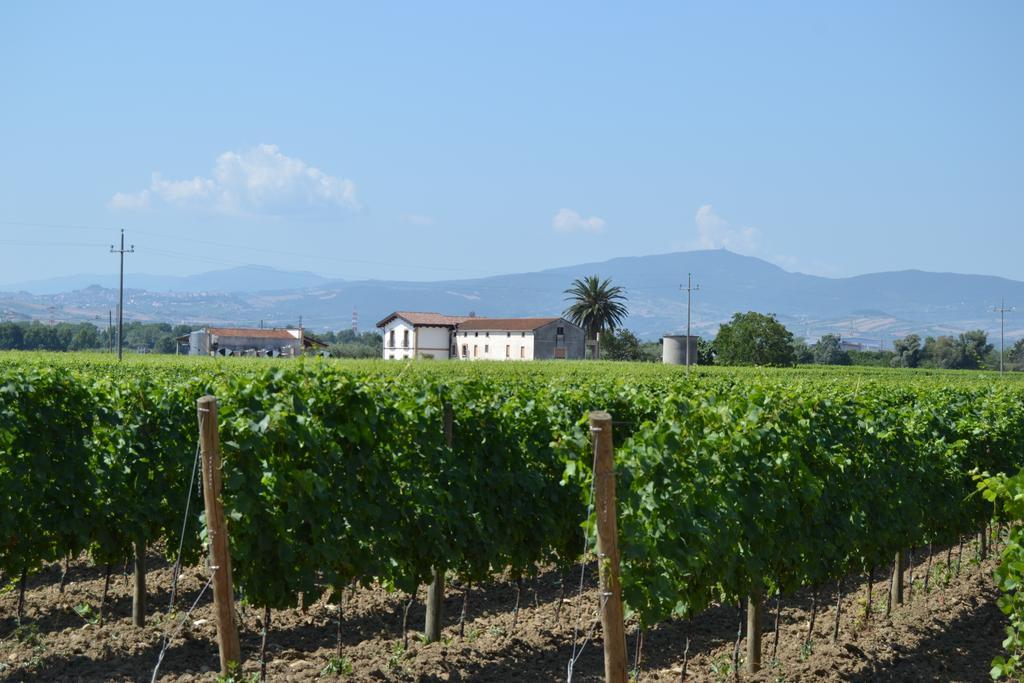 Agriturismo De Luca Mozzagrogna Kültér fotó